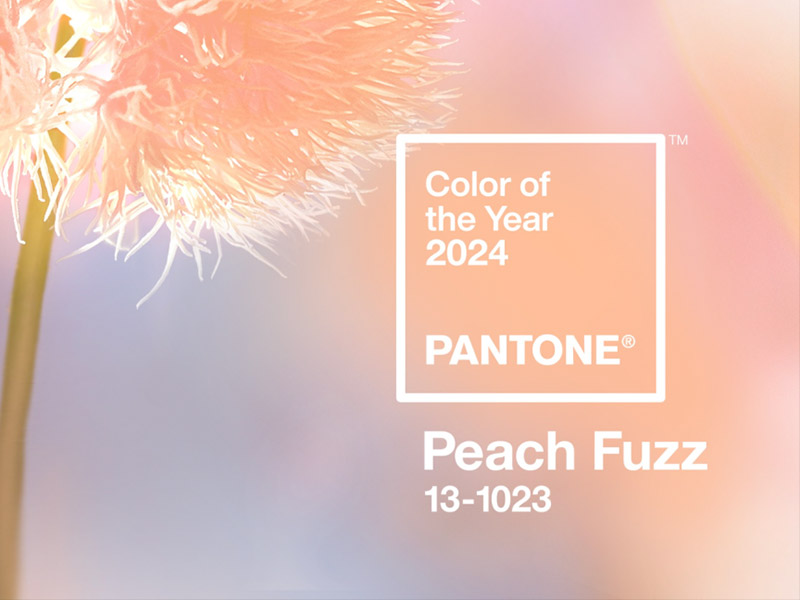 2024 年度代表色“Peach Fuzz 柔和桃”